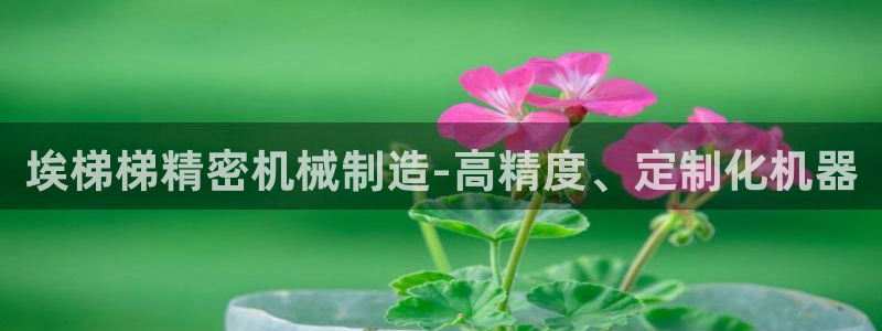 彩神v8是真的挣钱吗安全吗：埃梯梯精密机械制造-高精度、定制化机器