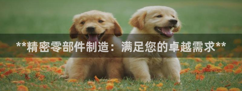 彩神8彩平台官网：**精密零部件制造：满足您的卓越需求**