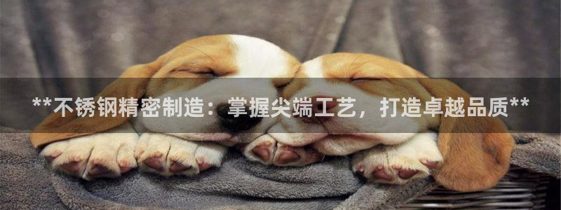 彩神v争霸有限公司：**不锈钢精密制造：掌握尖端工艺，打造卓越品质**