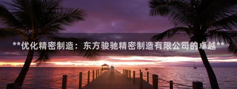 彩神v下载安装：**优化精密制造：东方骏驰精密制造有限公司的卓越**
