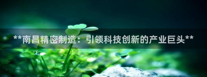 彩神8是正规平台吗是正品吗：**南昌精密制造：引领科技创新的产业巨头**
