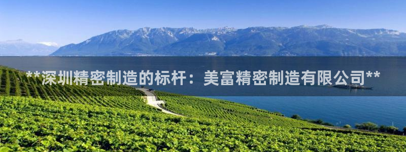 彩神旗下有哪些平台：**深圳精密制造的标杆：美富精密制造有限公司**