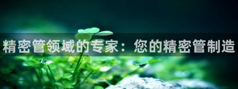 彩神ix是真的吗：精密管领域的专家：您的精密管制造