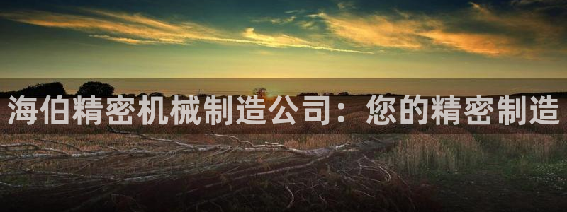 彩神v8下载：海伯精密机械制造公司：您的精密制造