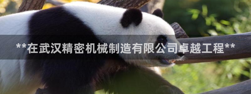 v大发彩神8iii：**在武汉精密机械制造有限公司卓越工程**