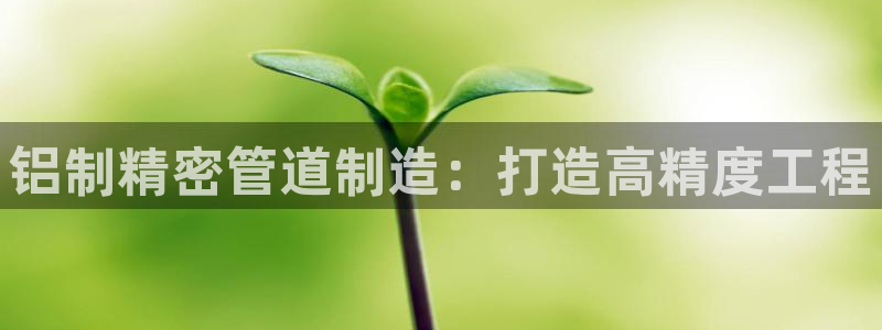 下载彩神v8：铝制精密管道制造：打造高精度工程