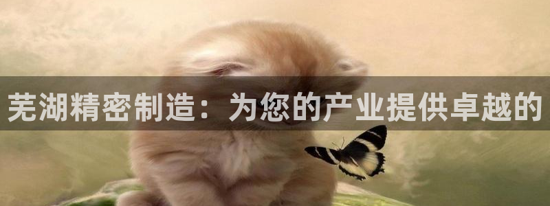彩神旗下有哪些平台：芜湖精密制造：为您的产业提供卓越的