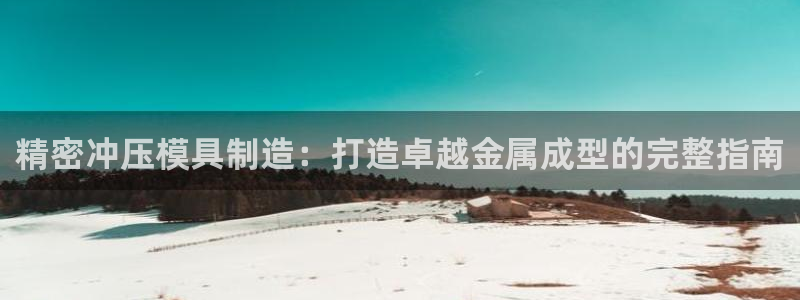 彩神系列平台：精密冲压模具制造：打造卓越金属成型的完整指南
