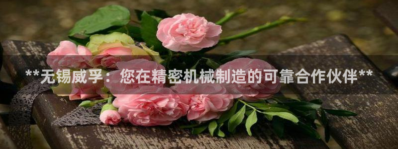 彩神官方邀请码是多少：**无锡威孚：您在精密机械制造的可靠合作伙伴**