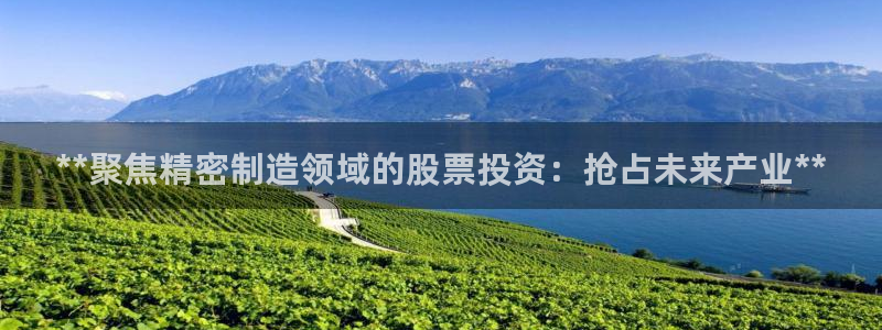 彩神平台是什么套路：**聚焦精密制造领域的股票投资：抢占未来产业**