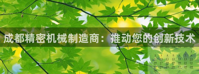 彩神Vii购彩-购彩大厅：成都精密机械制造商：推动您的创新技术