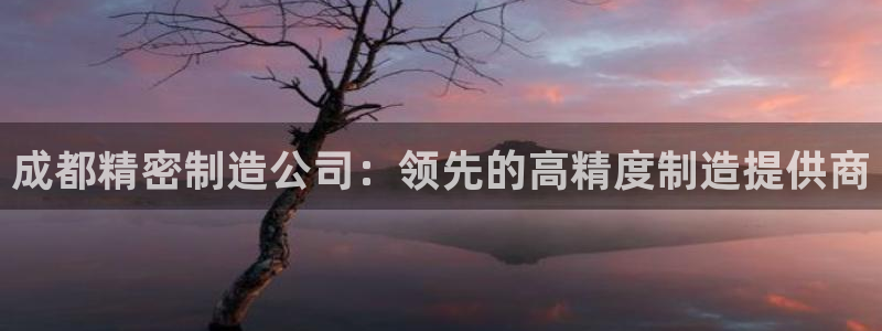 下载彩神争霸谁与我争锋：成都精密制造公司：领先的高精度制造提供商
