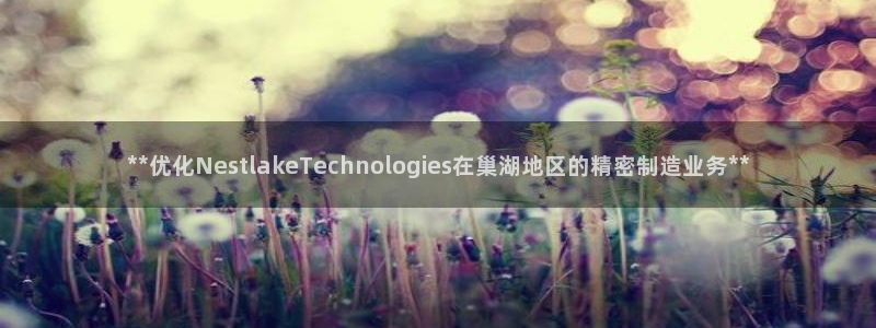 彩神8官网版是正规的吗：**优化NestlakeTechnologies在巢湖地区的精密制造业务**