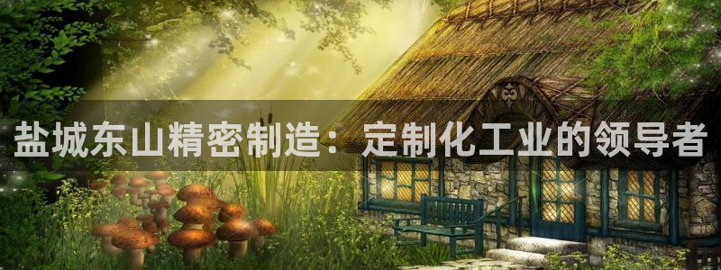 彩神v8平台正规吗安全吗：盐城东山精密制造：定制化工业的领导者