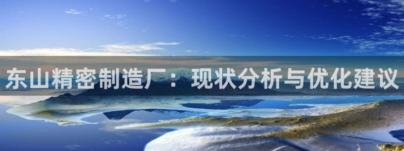 彩神 好 平台：东山精密制造厂：现状分析与优化建议