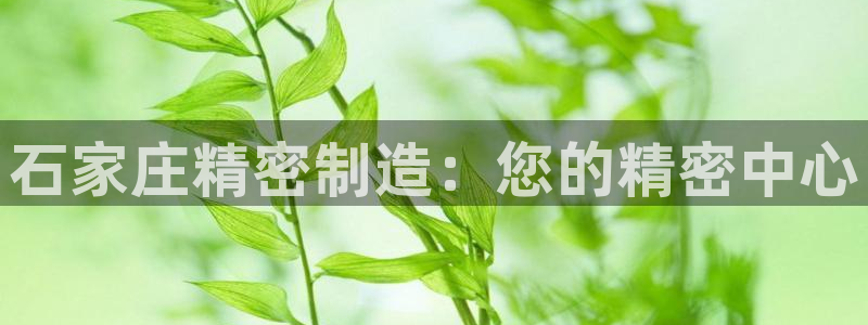 彩神大发云：石家庄精密制造：您的精密中心