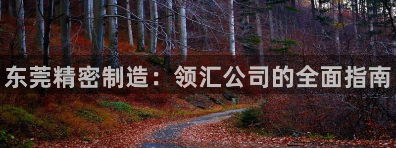 彩神ix平台：东莞精密制造：领汇公司的全面指南