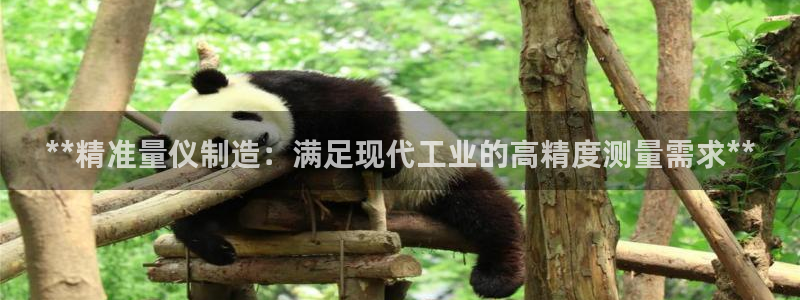 彩神v8下载app5.0：**精准量仪制造：满足现代工业的高精度测量需求**
