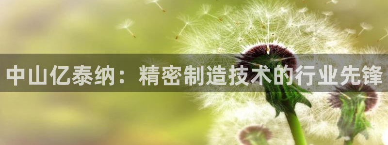 彩神平台是真的吗：中山亿泰纳：精密制造技术的行业先锋