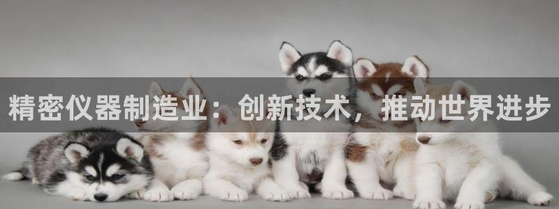彩神vip购彩：精密仪器制造业：创新技术，推动世界进步