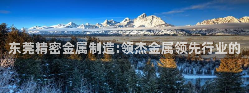 彩神v8是一个什么平台游戏：东莞精密金属制造:领杰金属领先行业的