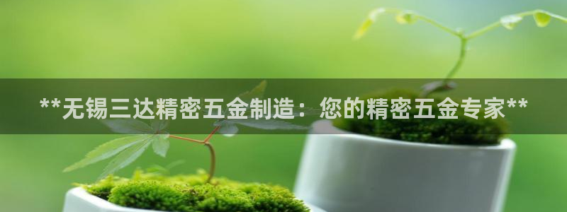 彩神争霸官网登录平台：**无锡三达精密五金制造：您的精密五金专家**