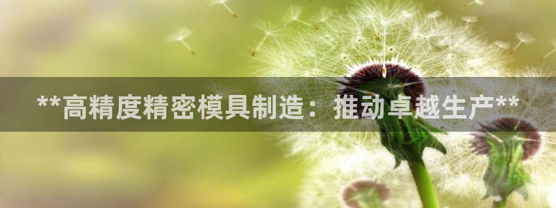 彩神数码科技有限公司：**高精度精密模具制造：推动卓越生产**