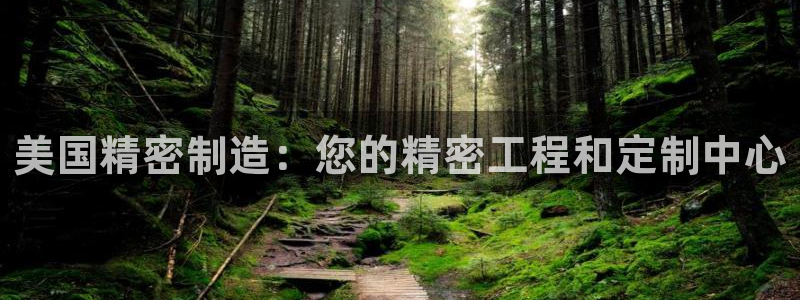 彩神8下载安卓版-彩神8(可提现)官网版1.0.0：美国精密制造：您的精密工程和定制中心