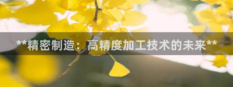 彩神v网赌软件下载：**精密制造：高精度加工技术的未来**