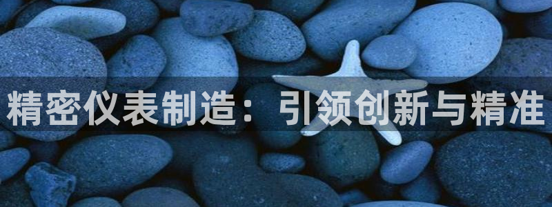 彩神天下专家专栏：精密仪表制造：引领创新与精准