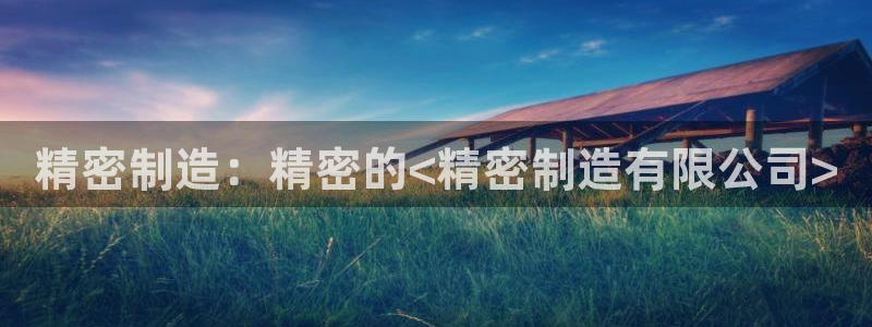 彩神vll首页企业文化：精密制造：精密的<精密制造有限公司>