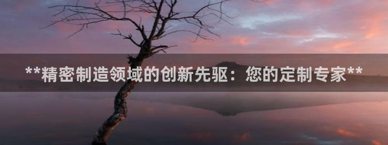 彩神v8平台正规吗知乎：**精密制造领域的创新先驱：您的定制专家**