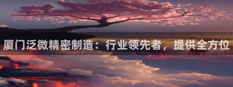 彩神网合法吗：厦门泛微精密制造：行业领先者，提供全方位