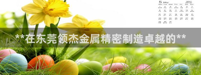 彩神v8手机客户端怎么下载：**在东莞领杰金属精密制造卓越的**