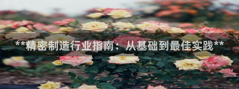大发彩神最高邀请码：**精密制造行业指南：从基础到最佳实践**