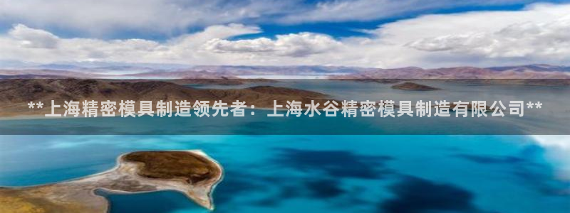 彩神V官网：**上海精密模具制造领先者：上海水谷精密模具制造有限公司**