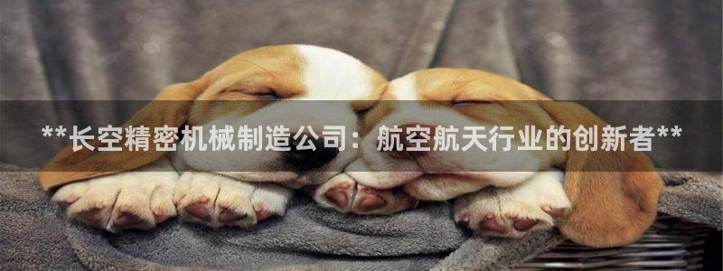 彩神8官网版：**长空精密机械制造公司：航空航天行业的创新者**