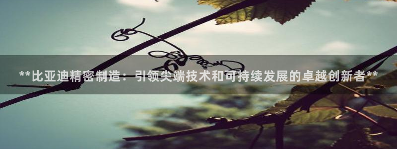 彩神争霸官方下载2017：**比亚迪精密制造：引领尖端技术和可持续发展的卓越创新者**