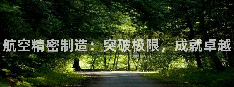 彩神V3大赢家：航空精密制造：突破极限，成就卓越