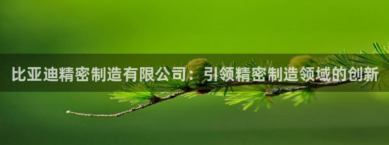 彩神v网赌软件下载：比亚迪精密制造有限公司：引领精密制造领域的创新