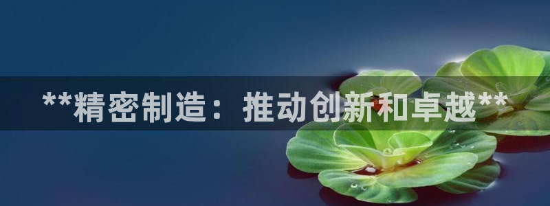 下载彩神通关注码：**精密制造：推动创新和卓越**