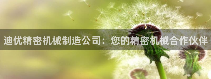 彩神ll能赚钱吗：迪优精密机械制造公司：您的精密机械合作伙伴