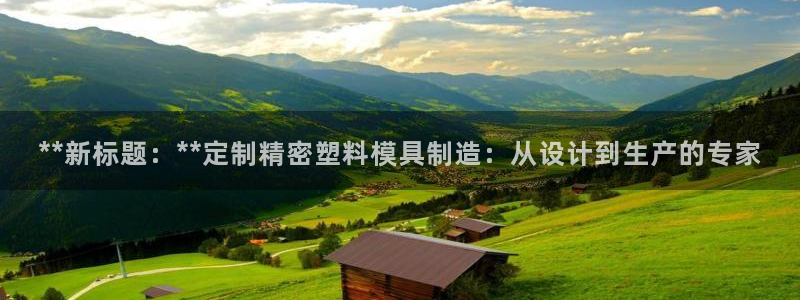 彩神平台之间是什么关系：**新标题：**定制精密塑料模具制造：从设计到生产的专家