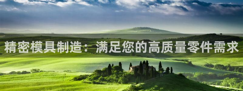 彩神系列平台：精密模具制造：满足您的高质量零件需求