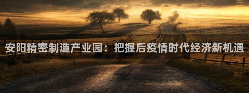 彩神是怎样一个平台：安阳精密制造产业园：把握后疫情时代经济新机遇