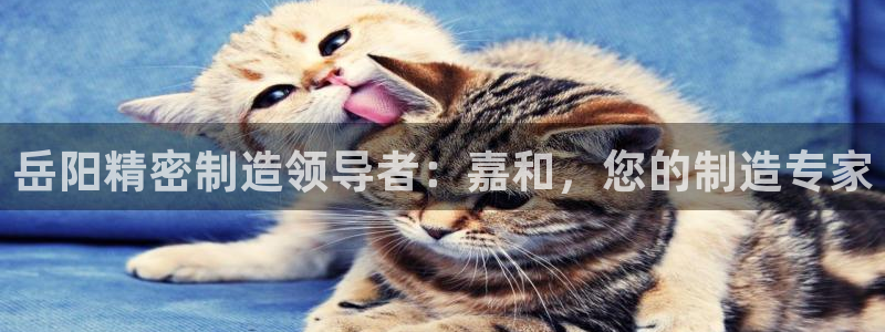 彩神购彩-购彩大厅入口计划群