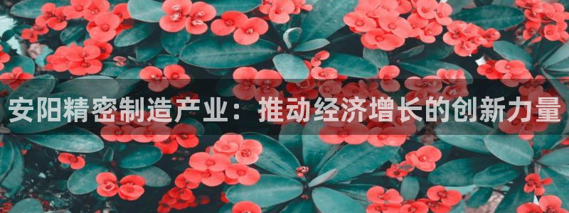 彩神ii官方网