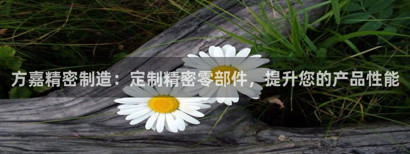 彩神大发三期计划网站：方嘉精密制造：定制精密零部件，提升您的产品性能