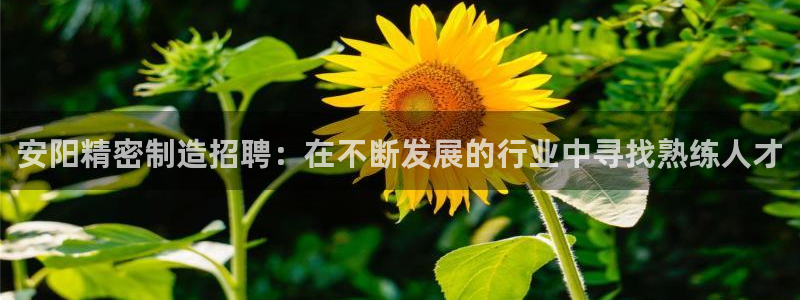 彩神v1破解器