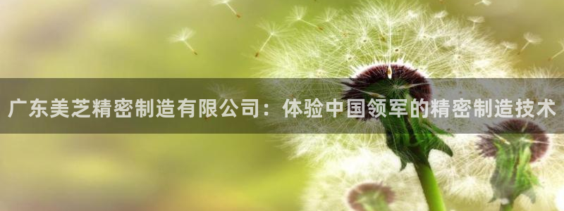 彩神ii官方网